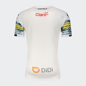 Así se puede observar la parte posterior de la polera de recambio.