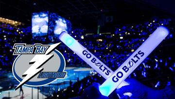 Tampa Bay Lightning (Relámpagos de la Bahía de Tampa) es un equipo profesional estadounidense de hockey sobre hielo, situado en la ciudad de Tampa (Florida).