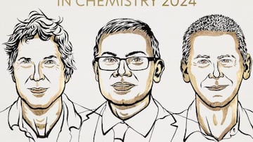 David Baker, Demis Hassabis y John Jumper ganan el Premio Nobel de Química por sus avances en las proteínas