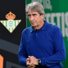 Pellegrini, contra la Ley Wenger y a favor del campo atrás