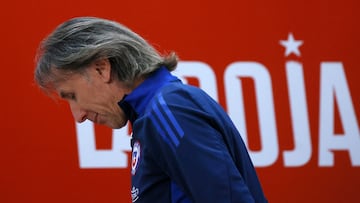 Chile recibe otra mala noticia: Ricardo Gareca, alerta