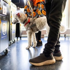 Who is leading the latest polls in the presidential race? Donald Trump or Kamala Harris?