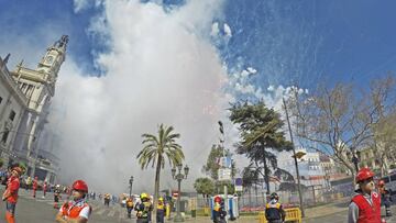 Masclet&agrave; taronja.