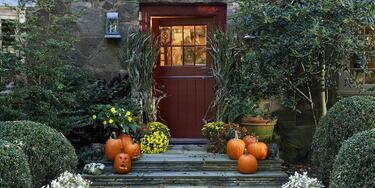?Cmo hacer una decoracin casera con calabazas decoradas en Halloween 2024?