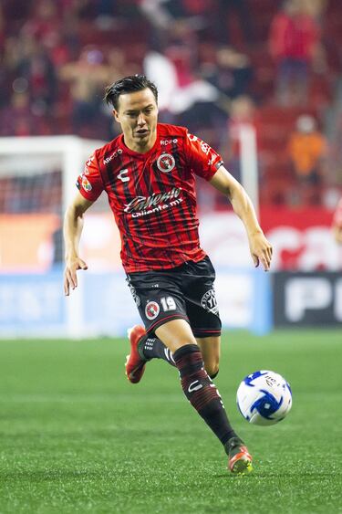 Debido a su rendimiento en sus primeras temporadas en el futbol mexicano, muchos vieron en Torres al sucesor de Javier Hernández. El "Nuevo Chicharito" se diluyó con el paso de las temporadas y probó suerte en Chivas USA, Houston Dynamo, Cruz Azul, Pumas y Xolos de Tijuana.