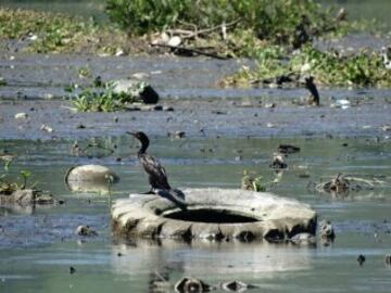 Así están las aguas de Río a pocos días de los JJ.OO.