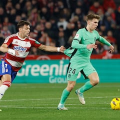 La importancia de Barrios