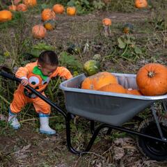 What's the origin, meaning and history of Halloween?