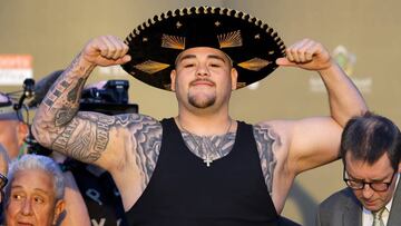 El boxeador M&eacute;xico-americano alista todo para regresar al ring para la primavera. Arreola viene de perder la pela contra Kownacki en 2019.