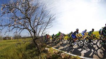 La Challenge hace públicos sus cuatro trofeos y sus 20 equipos