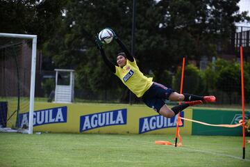 Las dirigidas por Carlos Paniagua iniciaron sus entrenamientos en la Sede Deportiva de la Federación Colombiana de Fútbol en Bogotá.