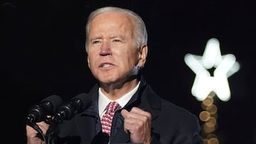 Biden attends the National Christmas Tree Lighting show in Washington.