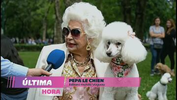 El primer comercial creado totalmente por Inteligencia Artificial fue realizado por Alpina.