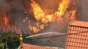 El incendio que azota Funchal ha llegado a zonas habitadas.