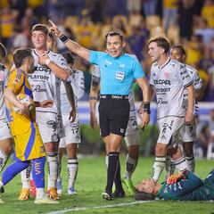 El Gato de la polémica