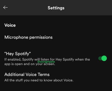 Controlar Spotify con tu voz: el servicio prueba un asistente de voz