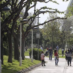 El calendario de la desescalada: ¿cuándo llegaría cada fase?