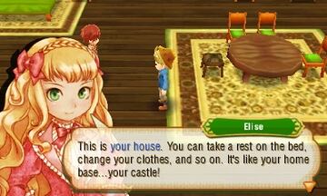 Captura de pantalla - Story of Seasons (3DS)