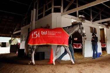 Sandman es llevado a caminar por el pasillo de establos después de los entrenamientos matutinos.