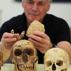 Nesher Ramla Homo, la nueva especie homínida encontrada en Israel