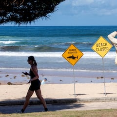 Cuarto ataque de tiburón en 48 horas en Australia