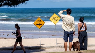 Beachgoers at Queenscliff Beach walk past warning signs, with beaches closed after recent shark attacks in Sydney, Australia, January 20, 2026. REUTERS/Jeremy Piper, Australia, January 20, 2026. REUTERS/Jeremy Piper