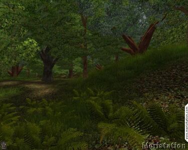 Nuevas imágenes de Wish