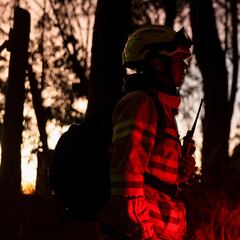 ¿Qué países ayudarán a Colombia con los incendios forestales?