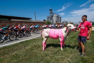 El pelot¨®n durante la etapa 14 del GIro, entre Santena y Torino.