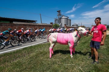 El pelotón durante la etapa 14 del GIro, entre Santena y Torino.