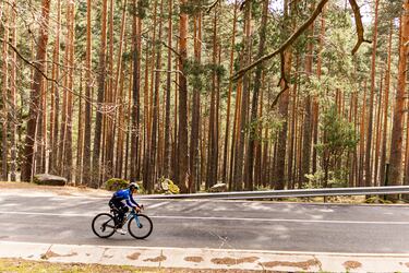 “Es un puerto bastante bien protegido, por lo que espero que el viento no afecte en exceso”, explica Sara tras reconocer la subida. Entre los árboles destaca el Pino Negro, cuyas piñas son pequeñas y se caracterizan por tener una muesca en forma de gancho.