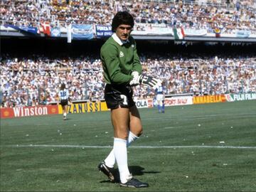 Durante la Copa del Mundo de Argentina 1978, el 'Pato' Fillol utilizó el dorsal '7' en uno de los partidos de la competición, un número raro para un arquero. Sin embargo, en la final del certamen salió al campo con el '5'.