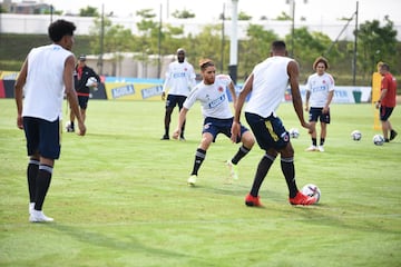 El equipo de Reinaldo Rueda tiene el gran objetivo de conseguir los tres puntos ante Ecuador en su casa. El partido será clave para la clasificación y el entrenador ya determina los detalles de los 11 jugadores que comenzarán el partido este jueves 13 de octubre. 