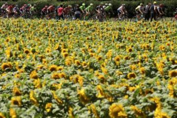 14th stage of Tour de France in images as Cavendish wins