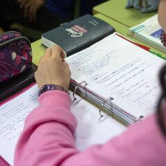 Subsidio de $23,000 ANSES: requisitos, montos y quién lo cobrará