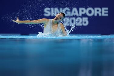 Madrid ha presentado su candidatura, junto a Australia y Kazán (Rusia), para ser la sede del campeonato del mundo de Natación en el año 2031. España acogió el Mundial hasta en tres ocasiones: Madrid 1986, Barcelona 2003 y 2013.