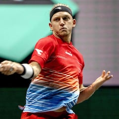 Davidovich se lo puso difícil a Tsitsipas en Róterdam