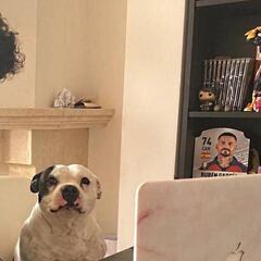 Rubén García, su día a día en cuarentena