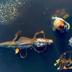 Juan Oliphant: “Este es el motivo por el que debes estar alerta en la naturaleza”