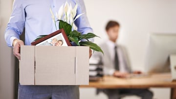 Despiden a un trabajador por ser prescindible, la empresa tropieza y necesita su consejo: “Cometieron un error al subestimarme”