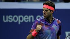 Del Potro vs Federer: resumen, puntos y resultado