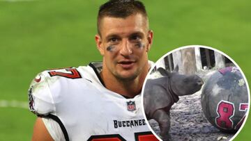 Zoológico de Tampa nombra a rinoceronte en honor a Rob Gronkowski