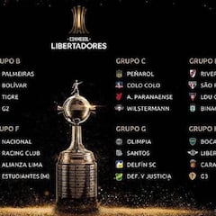 Copa libertadores 2020 en Argentina: dónde y cómo ver en TV y online