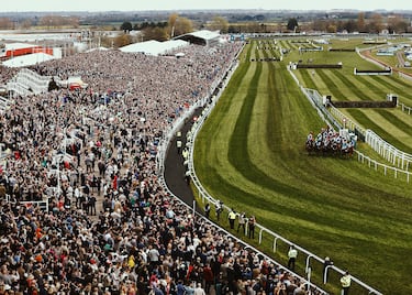 El Aintree Grand National es una competición ecuestre, la carrera de obstáculos más importante de las que se celebran en el Reino Unido. Se realiza en el hipódromo de Aintree en la ciudad de Liverpool.