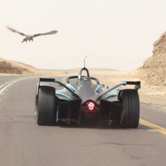 Massa se enfrenta al halcón peregrino, ¿quién es más rápido?