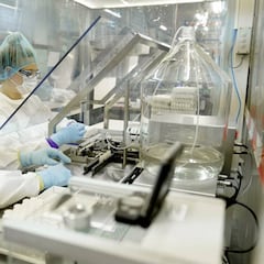 Transferrina: la posible responsable de la gravedad del coronavirus