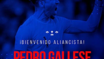 El arquero de Tiburones de Veracruz llega para disputar la temporada en condición de cedido y deberá pugnar por el puesto con Leao Butrón.