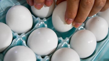 La FDA alerta sobre más de seis millones de huevos contaminados con salmonella en Estados Unidos. Consulta las marcas y cuáles son los paquetes afectados.