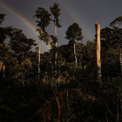 El doctor que descubrió el ébola avisa que un nuevo virus llegará