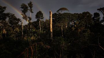 --- (Democratic Republic Of Congo), 18/10/2020.- (02/39) View of deforestation in the Ituri rainforest, an area of immense biodiversity in north-eastern Democratic Republic of Congo, 18 October 2020. Conflict and governance issues mean conservation in the